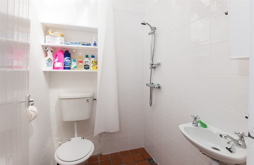 Shower room at Camellia Cottage in St Mawes, Cornwall