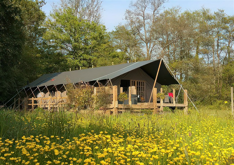 The setting at Camnant, near Newcastle Emlyn