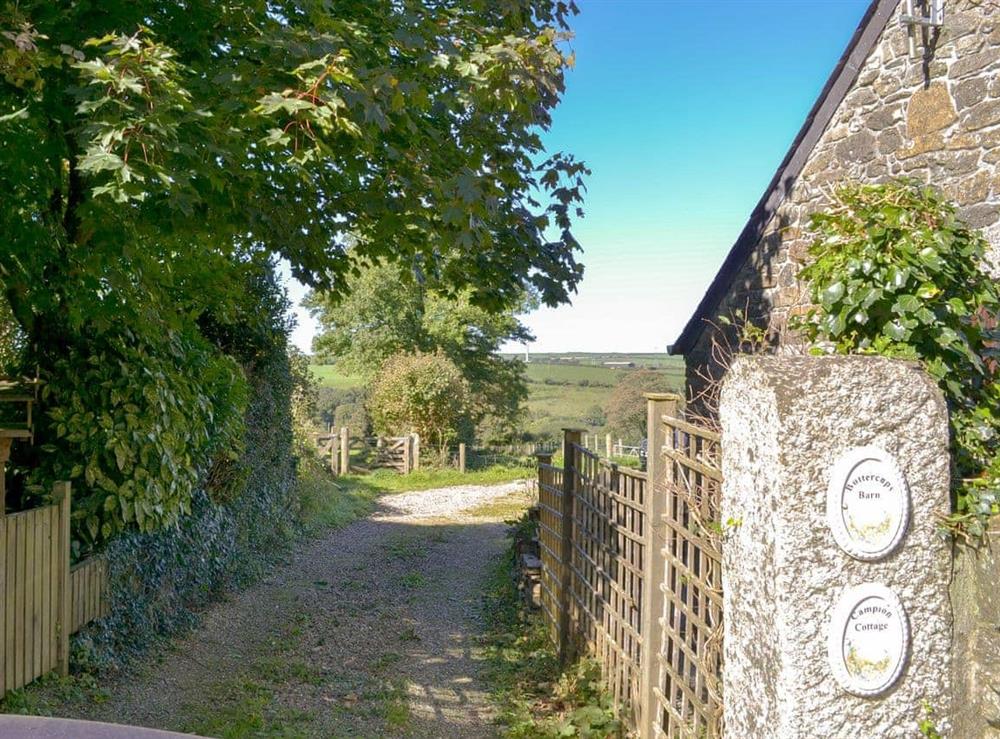 Driveway at Campion Cottage in Michaelstow, Nr Camelford, Cornwall., Great Britain