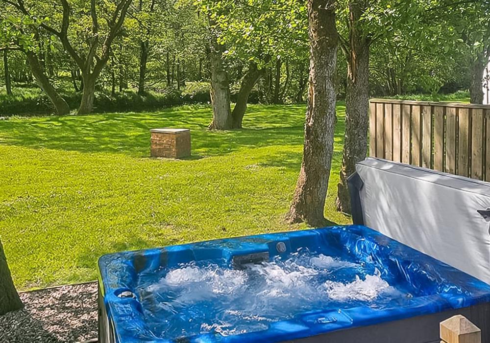 Campsie Glen Holiday Park, Fintry, Stirling