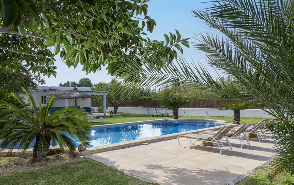 Photo of Can Torrens (photo 3) at Can Torrens, Pollensa & Puerto Pollensa, Mallorca