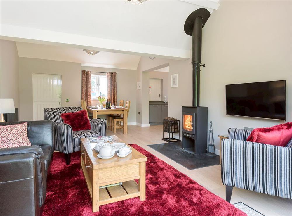 Impressive living area with warm and cosy wood burner at Canal View in Tetchill, near Ellesmere, Shropshire