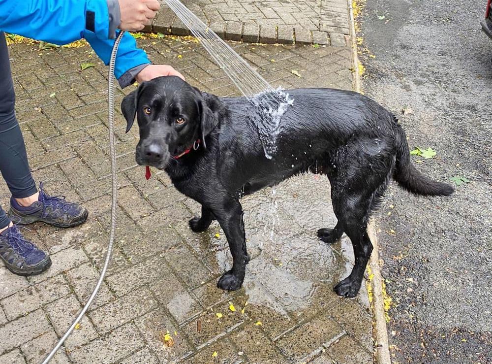 Dog shower at Cannondale in Annisgarth, near Windermere, Cumbria