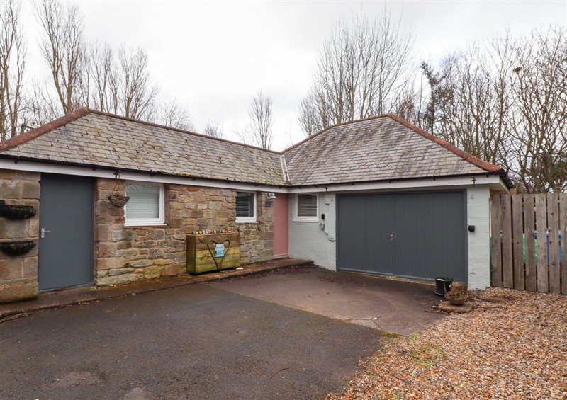 Outside at Canny Cottage, Low Hauxley Nr Amble