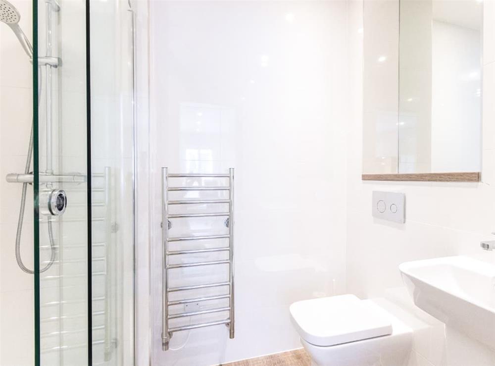 Typical shower room at Canute B in Ocean Village, near Southampton, Hampshire