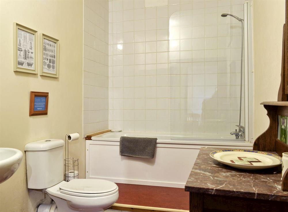Family bathroom with shower over bath at Capel Bethesda 1, 