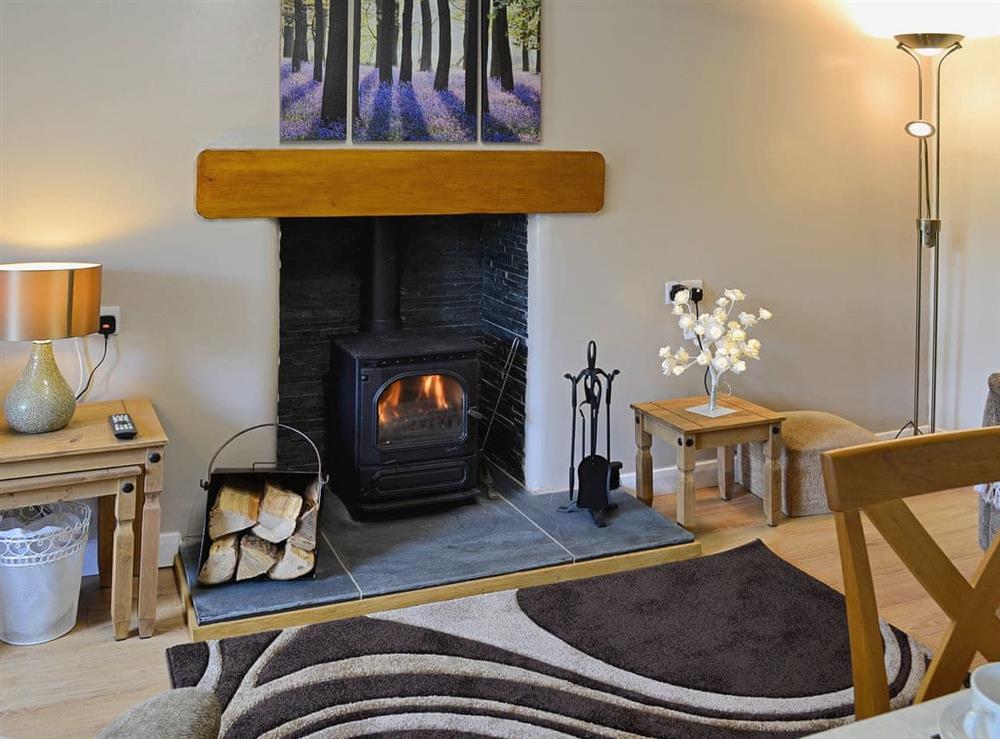 The living area has a feature fireplace at Capel Fawnog Bach in Talsarnau, Gwynedd
