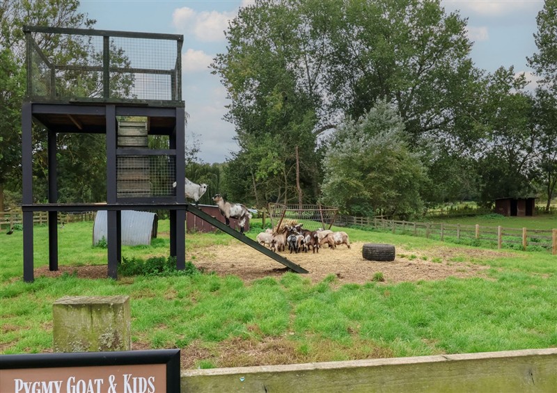This is the garden (photo 2) at Carabelle (Cow Shed 7), Campsea Ashe
