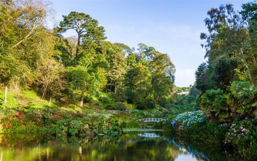 Try Trebah Garden in Mawnan Smith for a stroll around the sub-tropical gardens or just for lunch in the super cafe. at Carabone Cottage in The Lizard