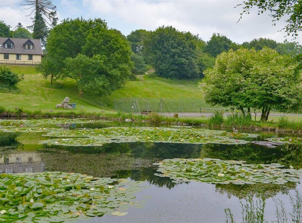 Garden and grounds (photo 3) at Caradon in Liskeard, Cornwall