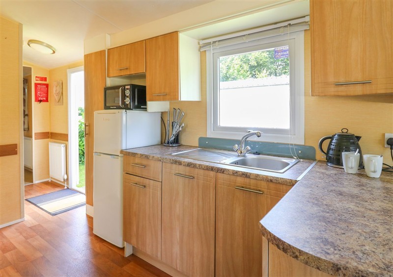 This is the kitchen at Caravan 2 at Blackmoor Farm near Tenby, Ludchurch near Tenby