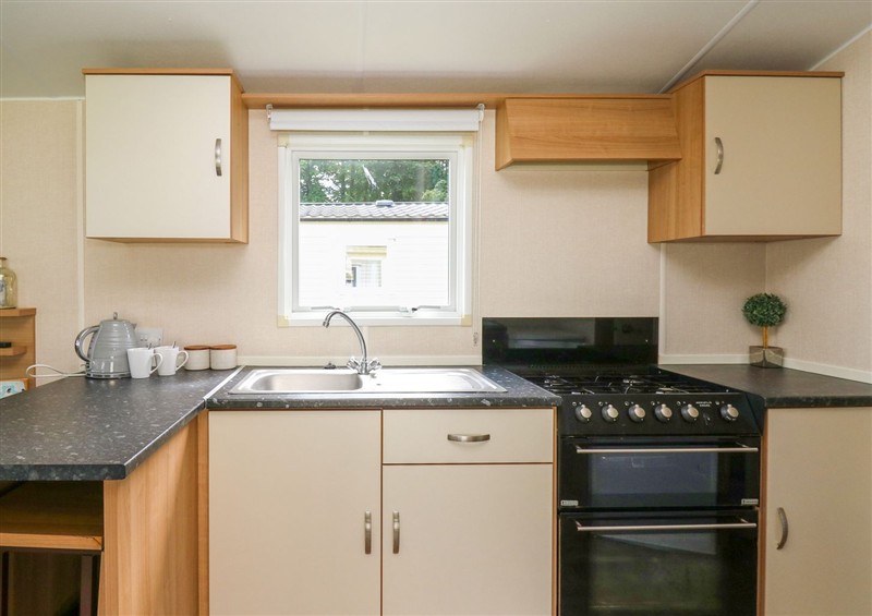 This is the kitchen at Caravan 3 at Blackmoor Farm near Tenby, Ludchurch near Tenby