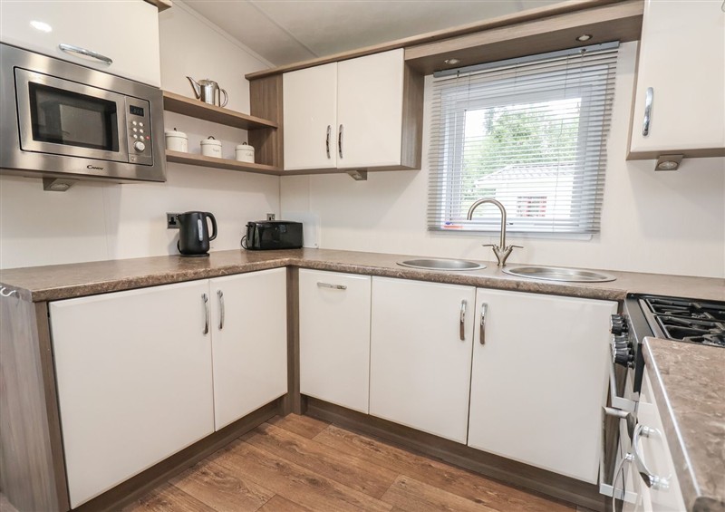 This is the kitchen (photo 2) at Caravan 96, Llanfwrog