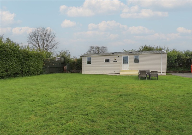 The garden in Caravan at Caravan, Llangefni