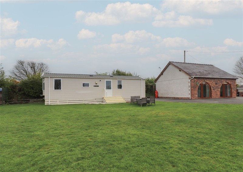 The garden at Caravan, Llangefni