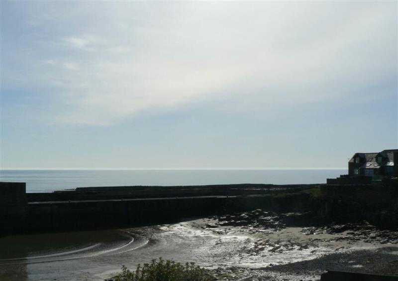 In the area (photo 2) at Cargoes, Craster