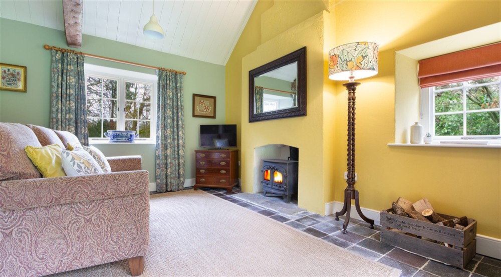 The sitting area with sofa, television and woodburner at Cariad Cottage in Llandeilo, Carmarthenshire