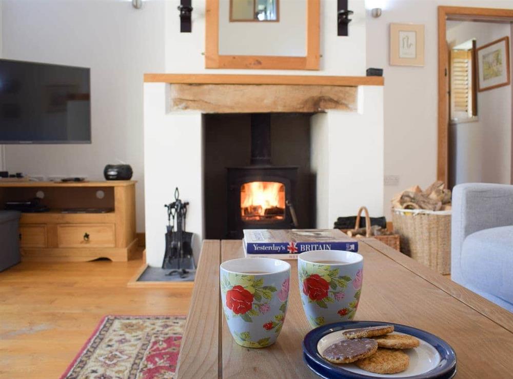 Relax and unwind in the living room at Carmarthen Cottages- Barn Cottage in Cwmdu, near Carmarthen, Dyfed