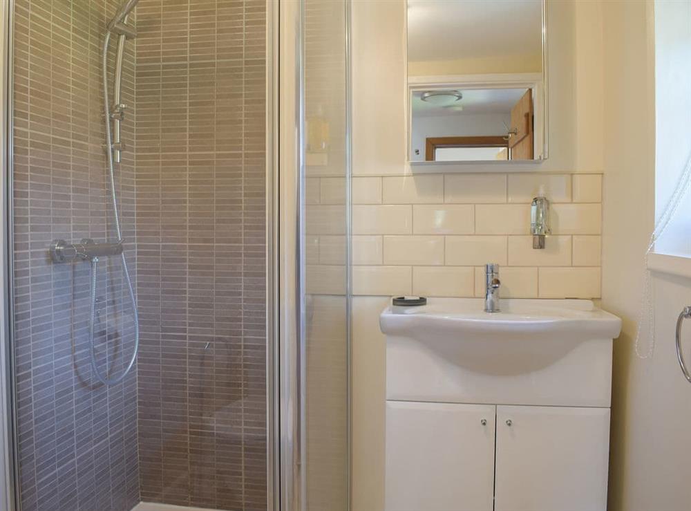Shoer room with tiled shower cubicle