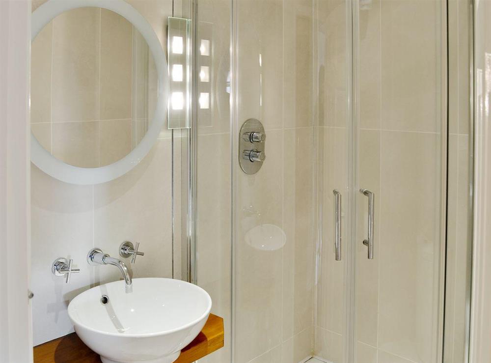 En-suite shower room and toilet at One Acre View, 