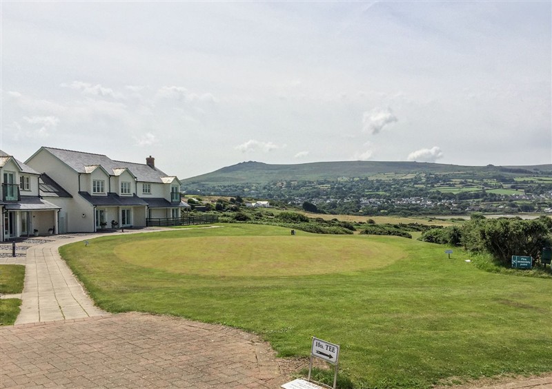 The garden at Carningli Suite, near Newport