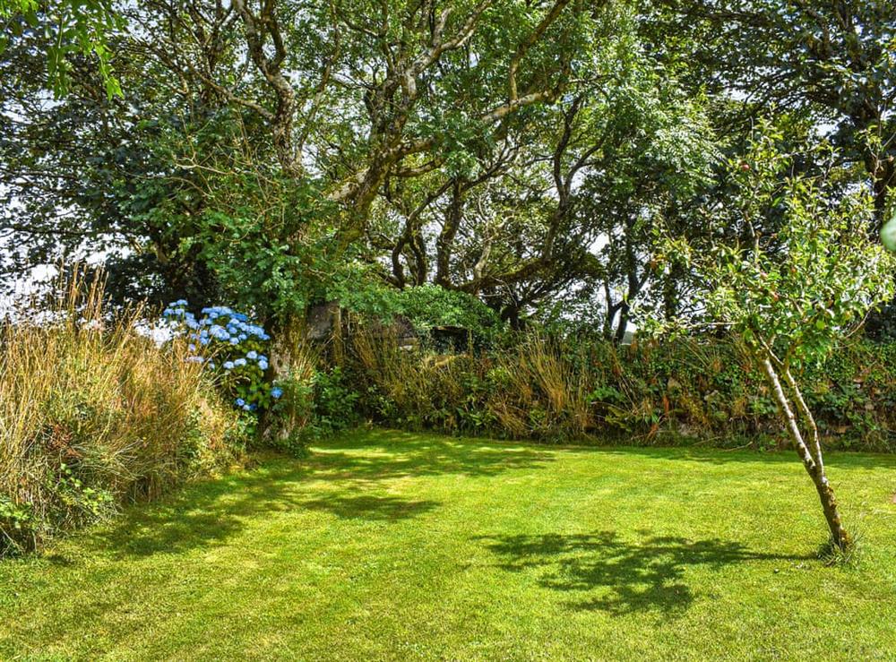 Garden (photo 2) at Carnlussack Cottage in Troon, near Camborne, Cornwall