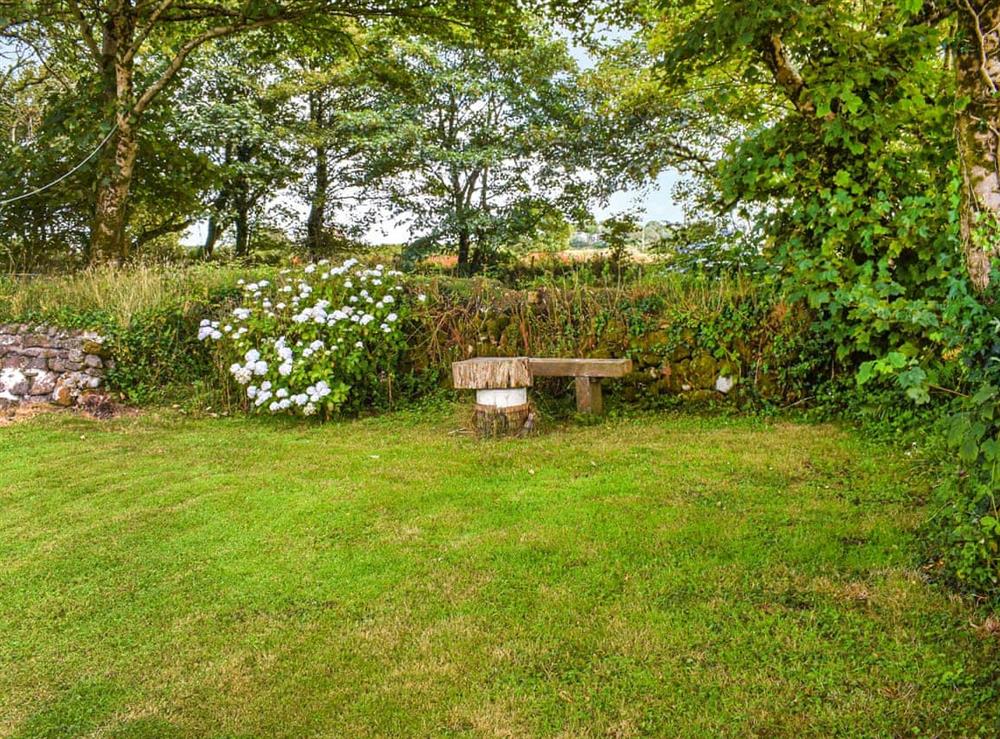 Garden at Carnlussack Cottage in Troon, near Camborne, Cornwall