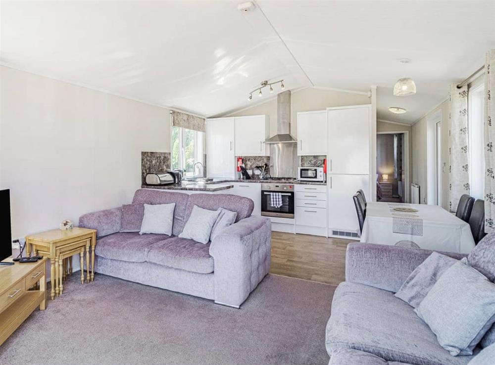 Open plan living space at Carnoustie Lodge in Tydd St Giles, Wisbech, Cambridgeshire
