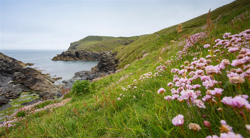 The surrounding area of Carnweather, Cornwall (photo 2) at Carnweather in Port Isaac, Cornwall
