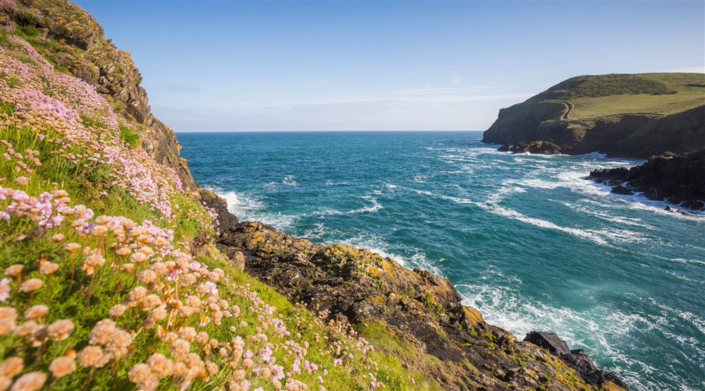 The surrounding area of Carnweather, Cornwall at Carnweather in Port Isaac, Cornwall