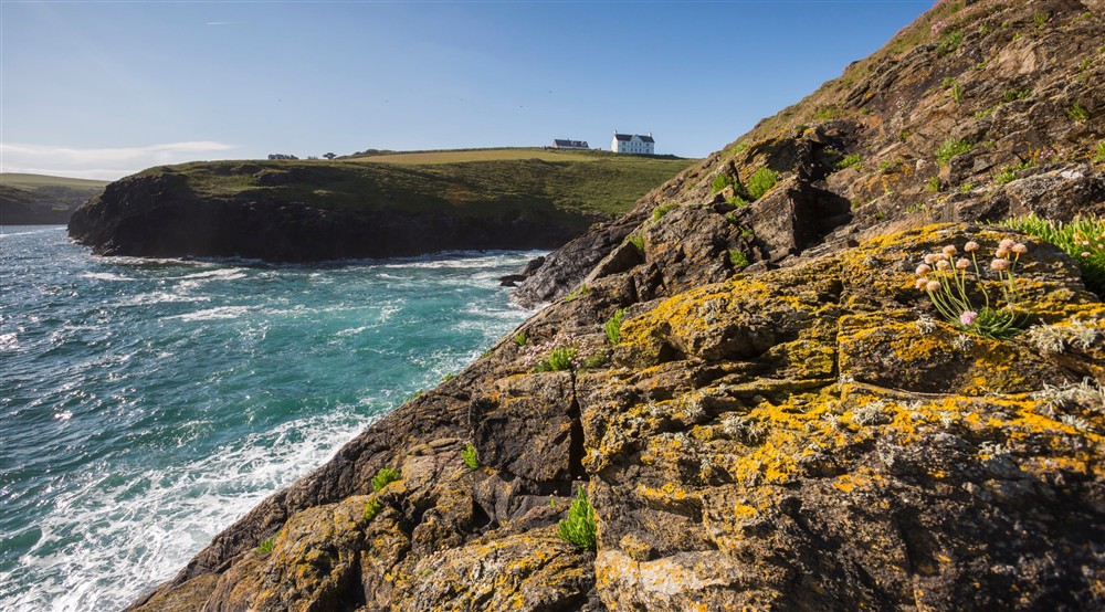 The surrounding area of Carnweather at Carnweather in Port Isaac, Cornwall