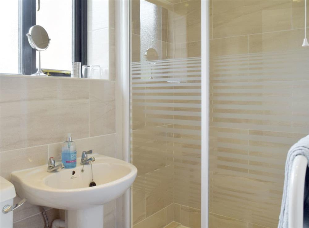 En-suite shower room with walk-in shower cubicle at Carols Cottage in Halesworth, Suffolk