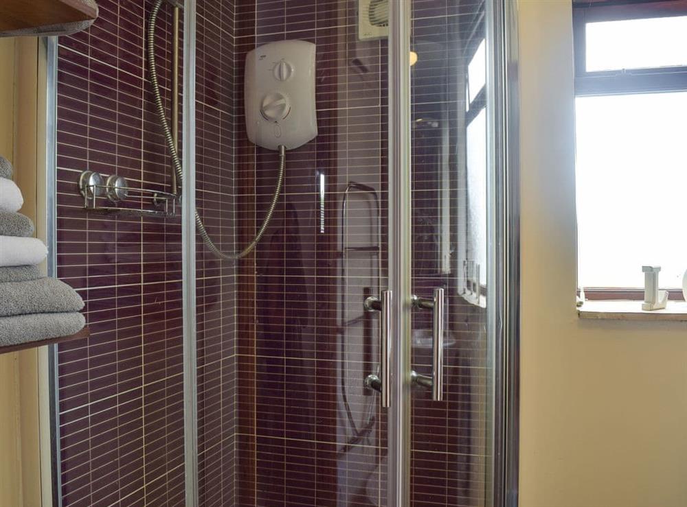 Shower room at Carousel Cottage in Cantley, near Norwich, Norfolk