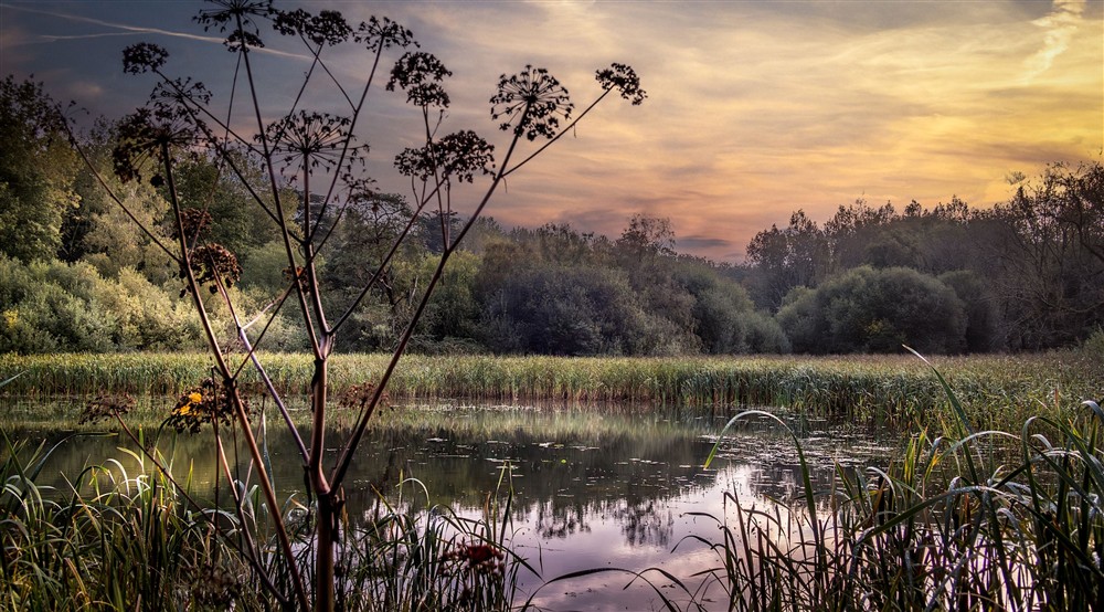 Fairy lake and the surrounding woodland on the Ickworth Estate, near The Round House, Suffolk at Carpenters Cottage in Bury St. Edmunds, Suffolk