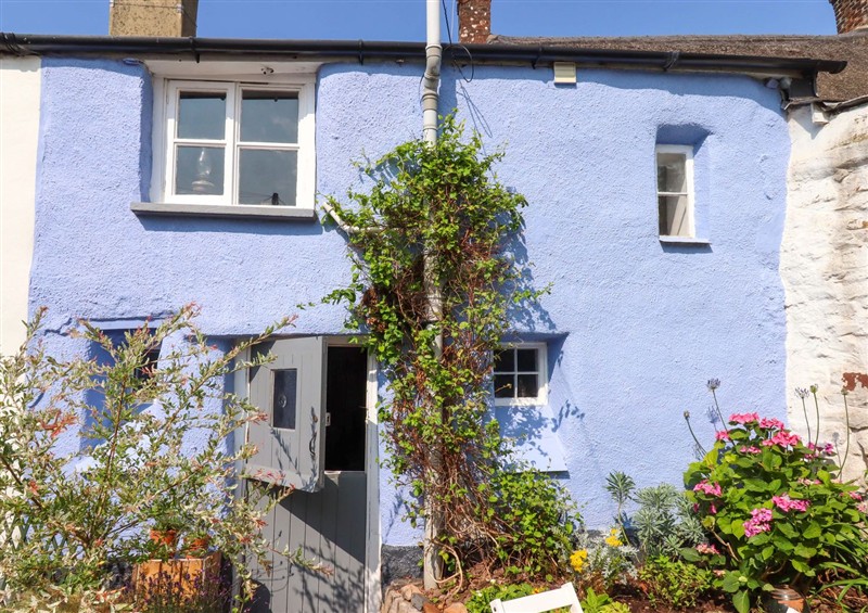 Outside Carpenter's Cottage at Carpenters Cottage, Hatherleigh