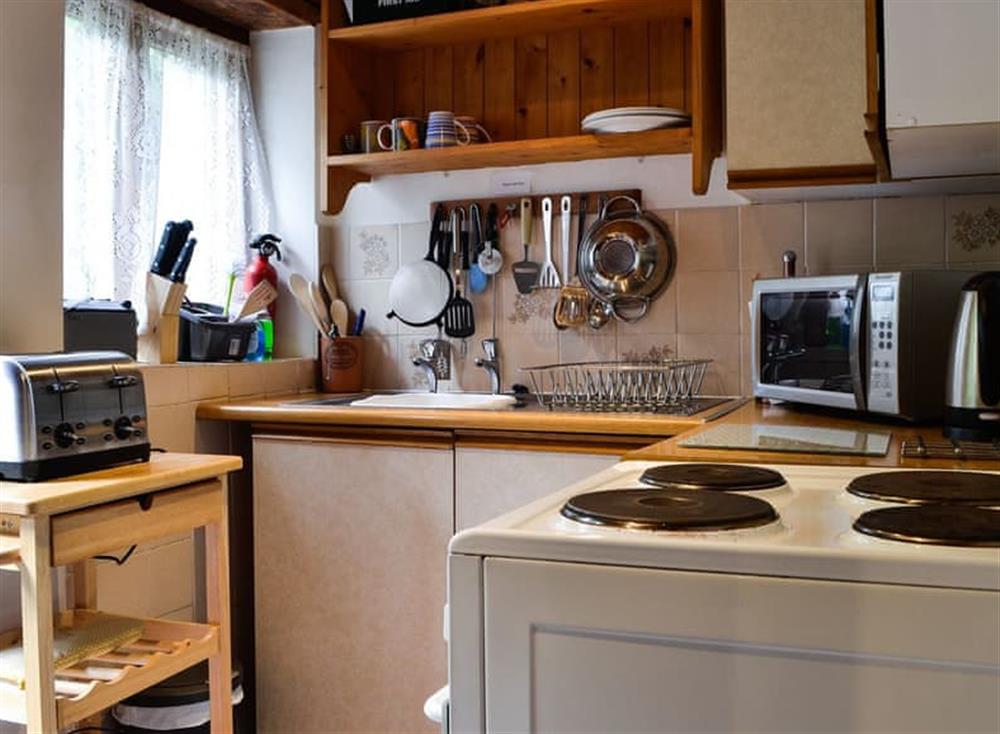 Kitchen at Carpenters Cottage in Libanus, near Brecon, Powys