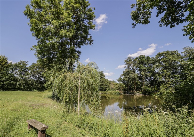 Enjoy the garden at Carps Well Lodge, Hatton near Shrewley