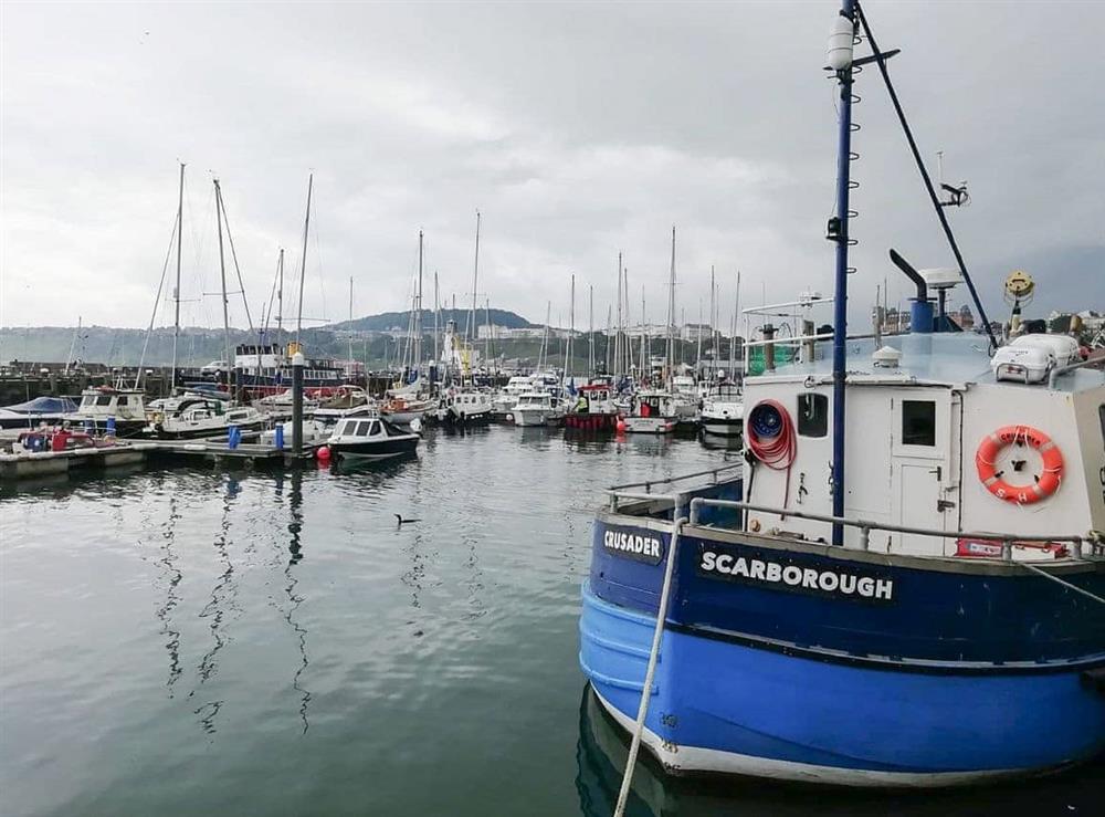 The bustling harbour at Scarborough at Carr House in Cayton, Scarborough, N.Yorks., North Yorkshire