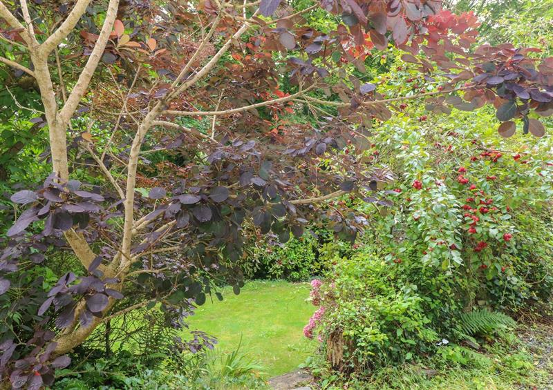 This is the garden at Carreg Felin, Llanstadwell near Neyland