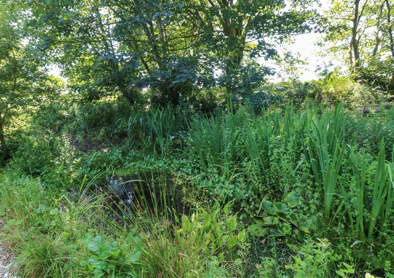 Enjoy the garden (photo 3) at Carreg Las, near Wolfscastle