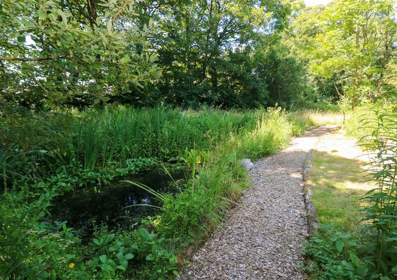 Enjoy the garden (photo 4) at Carreg Las, near Wolfscastle