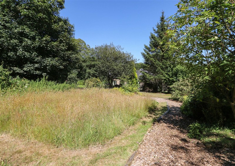 The garden at Carreg Las, near Wolfscastle