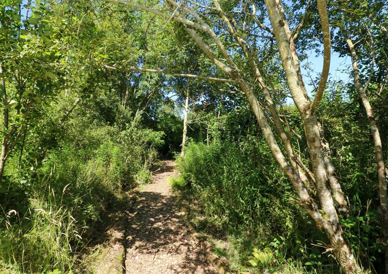 The setting at Carreg Las, near Wolfscastle