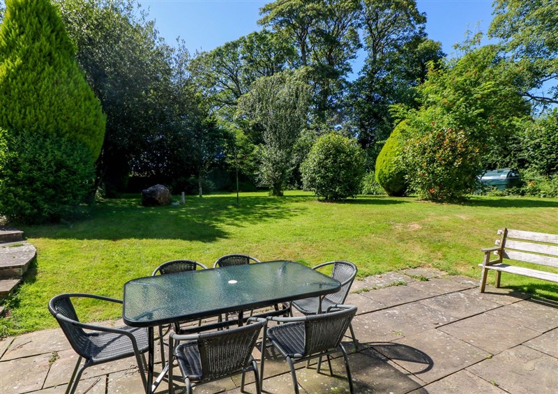 This is the garden at Carreg Las, near Wolfscastle