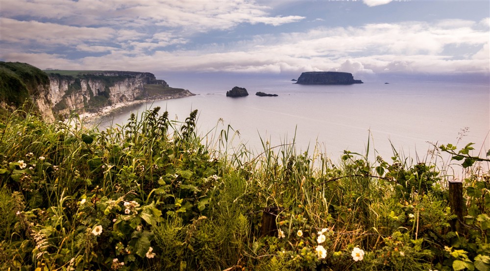 Surroundings, Carrick-a-Rede Cottage, Northern Ireland (photo 2) at Carrick-a-rede Cottage in Ballycastle, County Antrim