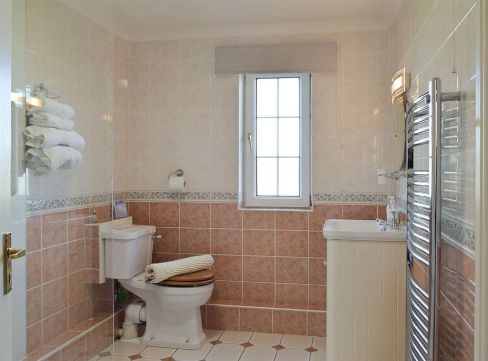 Shower room at Carthouse Cottage, Cosheston in Pembroke Dock, Dyfed