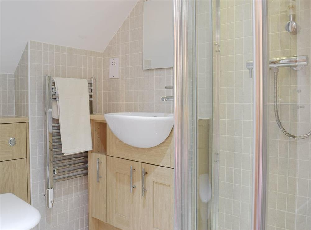 Ideal en-suite shower room at Carthouse Cottage in Ivy Court Cottages, Llys-y-Fran, Dyfed