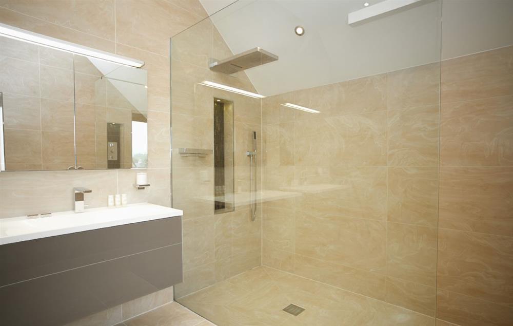 En-suite bathroom with waterfall shower, his & hers sinks, spa bath and built-in wall TV (photo 3) at Carus House, Burneside