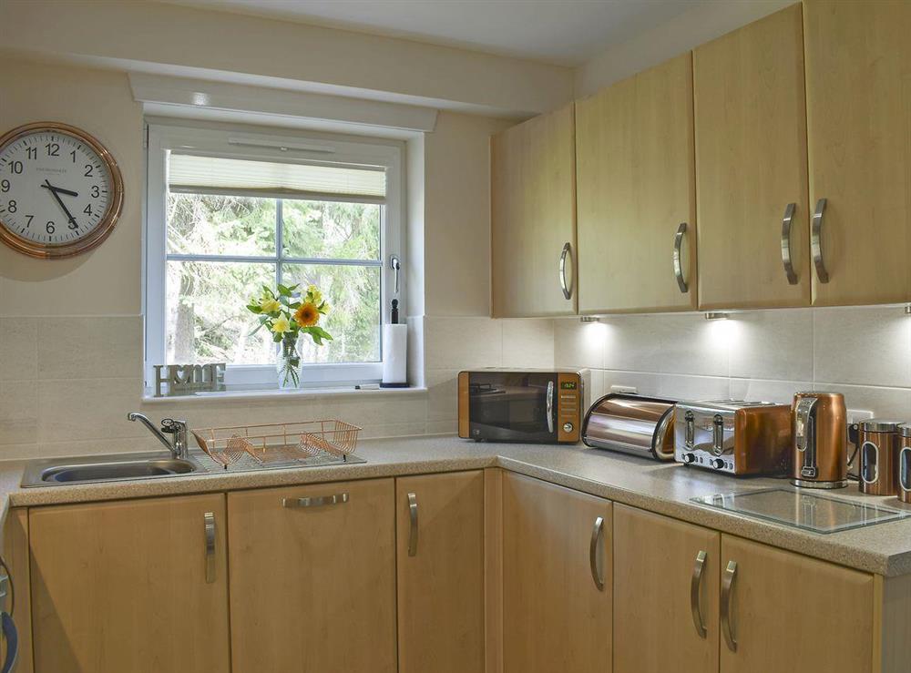 Perfectly equipped kitchen featuring electric oven, gas hob, microwave, fridge/freezer, dishwasher and washer/dryer at Casa Duran in Killin, Sterlingshire, Perthshire