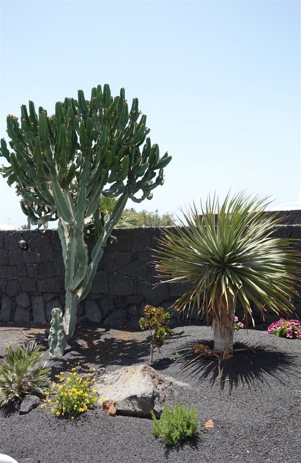 Casa Lydia (photo 31) at Casa Lydia in Playa Blanca, Lanzarote